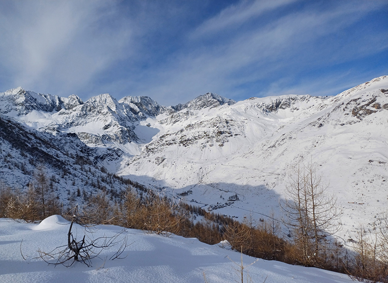 Stambecco Parco del Monviso