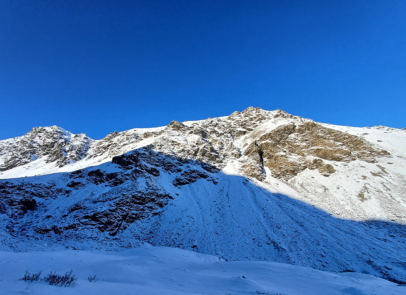 Stambecco Parco del Monviso