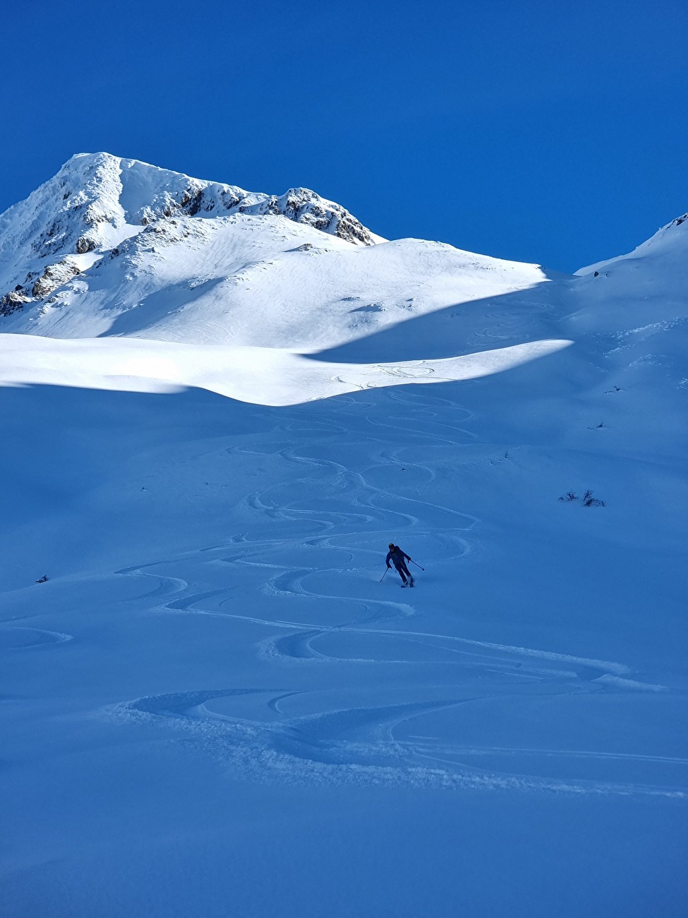 XALPS - The traverse of the Alps