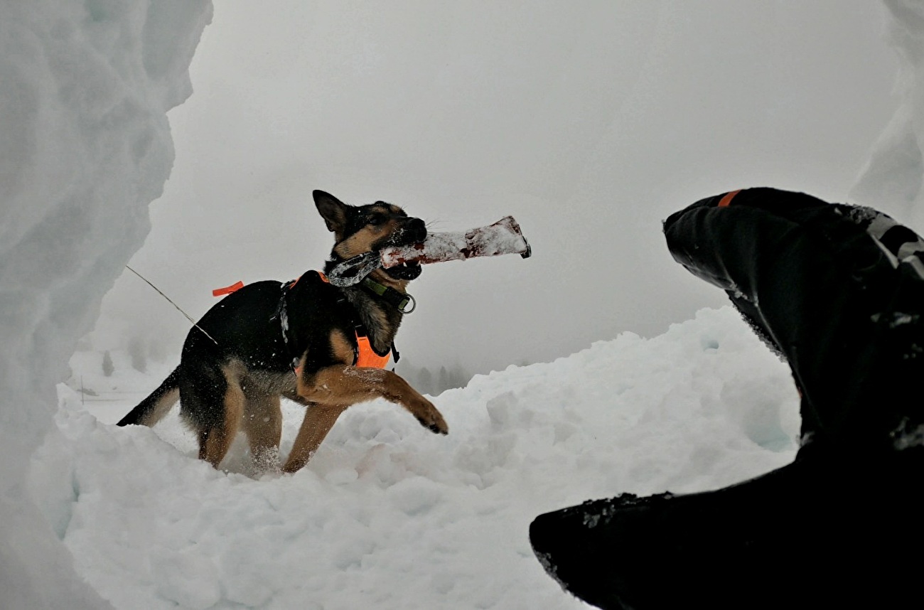 Mountain rescue