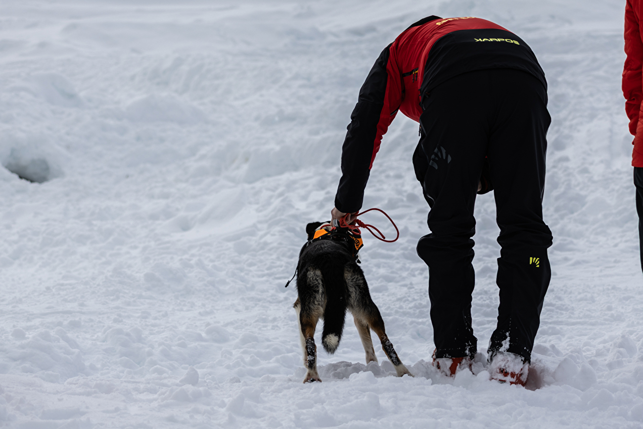 58th avalanche rescue dog course