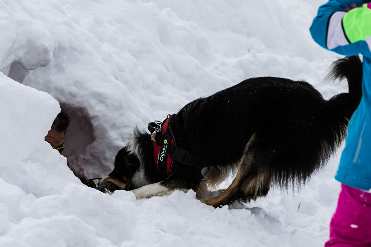 58th avalanche rescue dog course