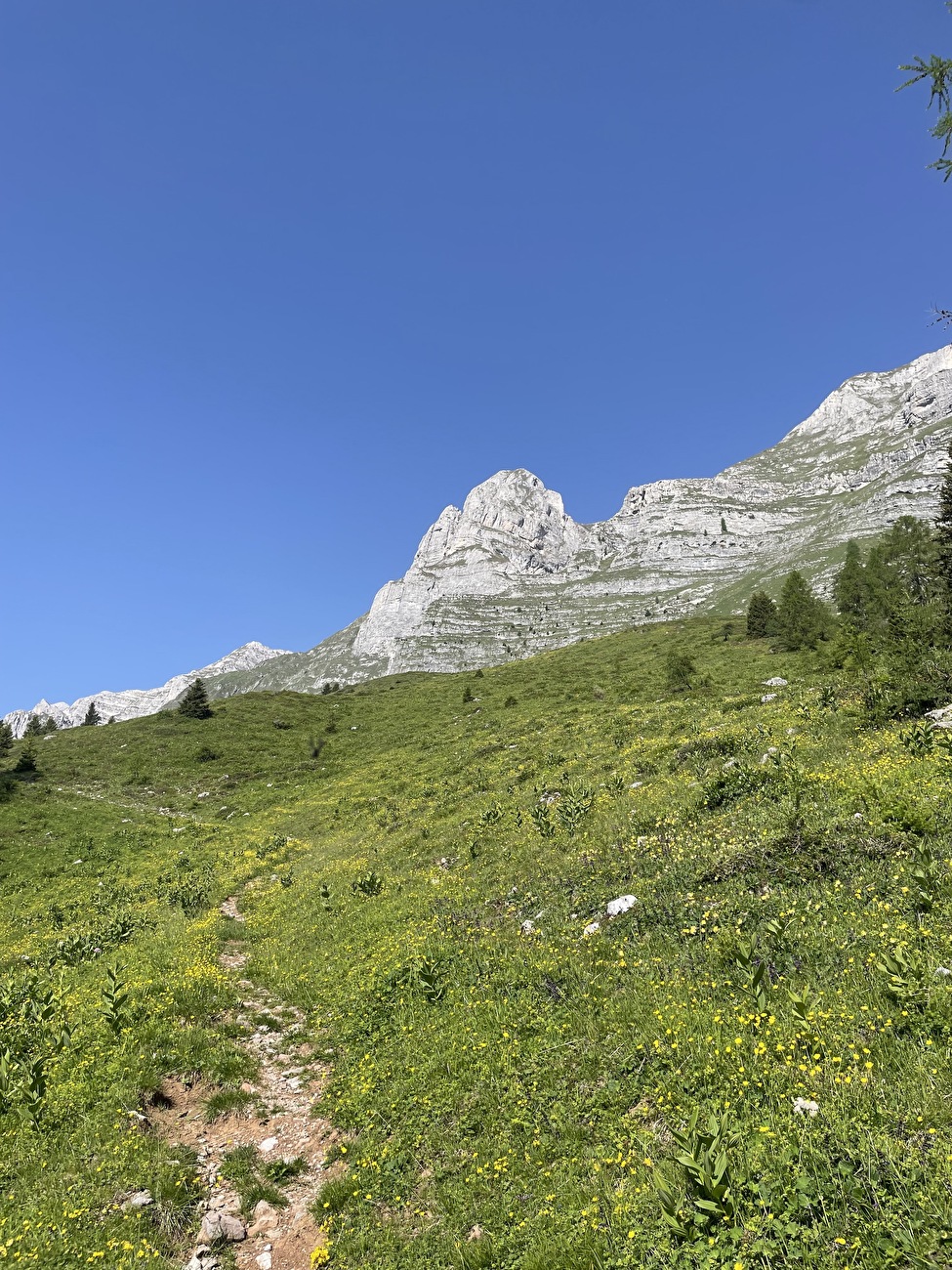 Piccola Sentinella delle Caverne, Val di Tovel, Brenta Dolomites, Gianguido Dalfovo