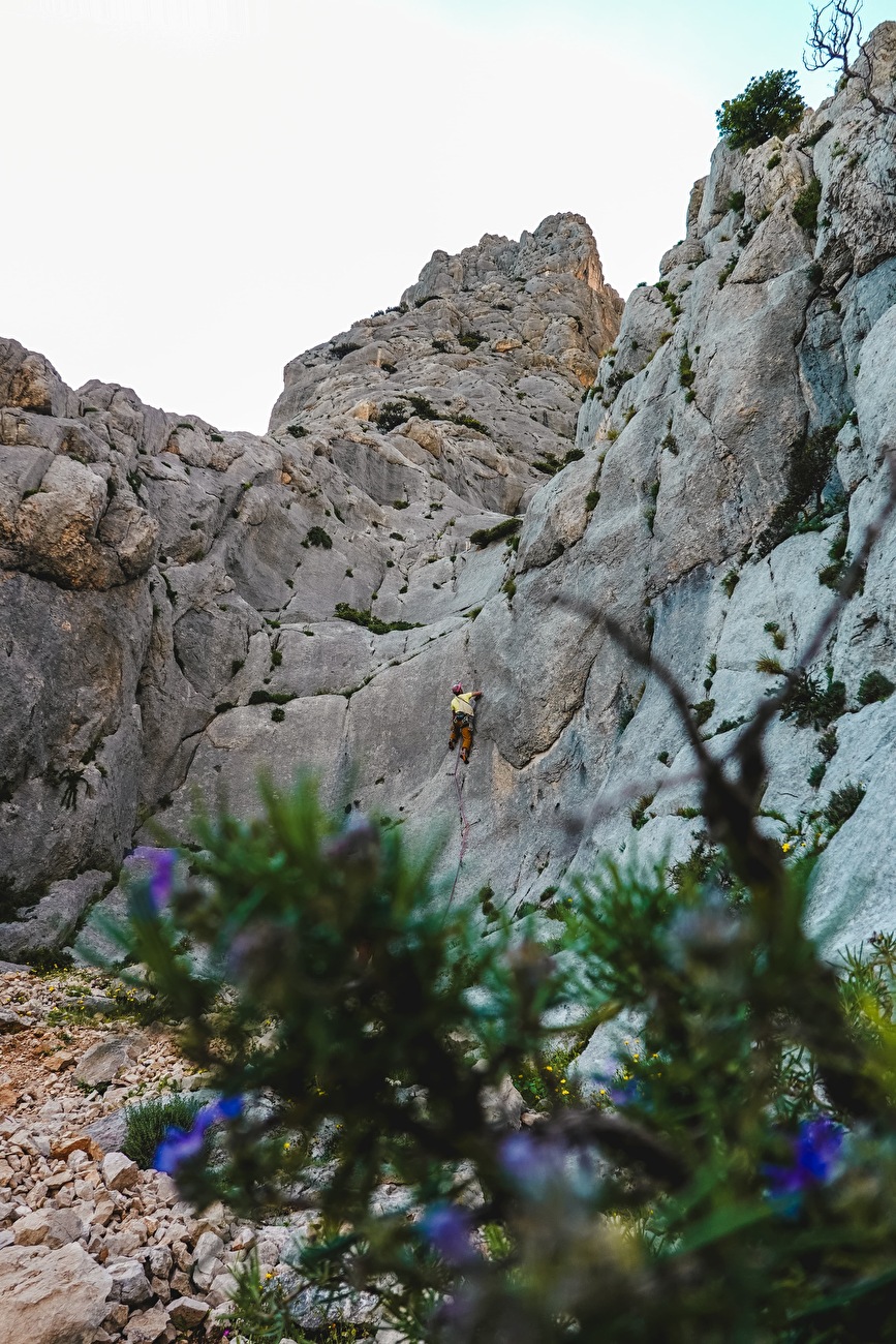 Punta Cusidore, Sardegna
