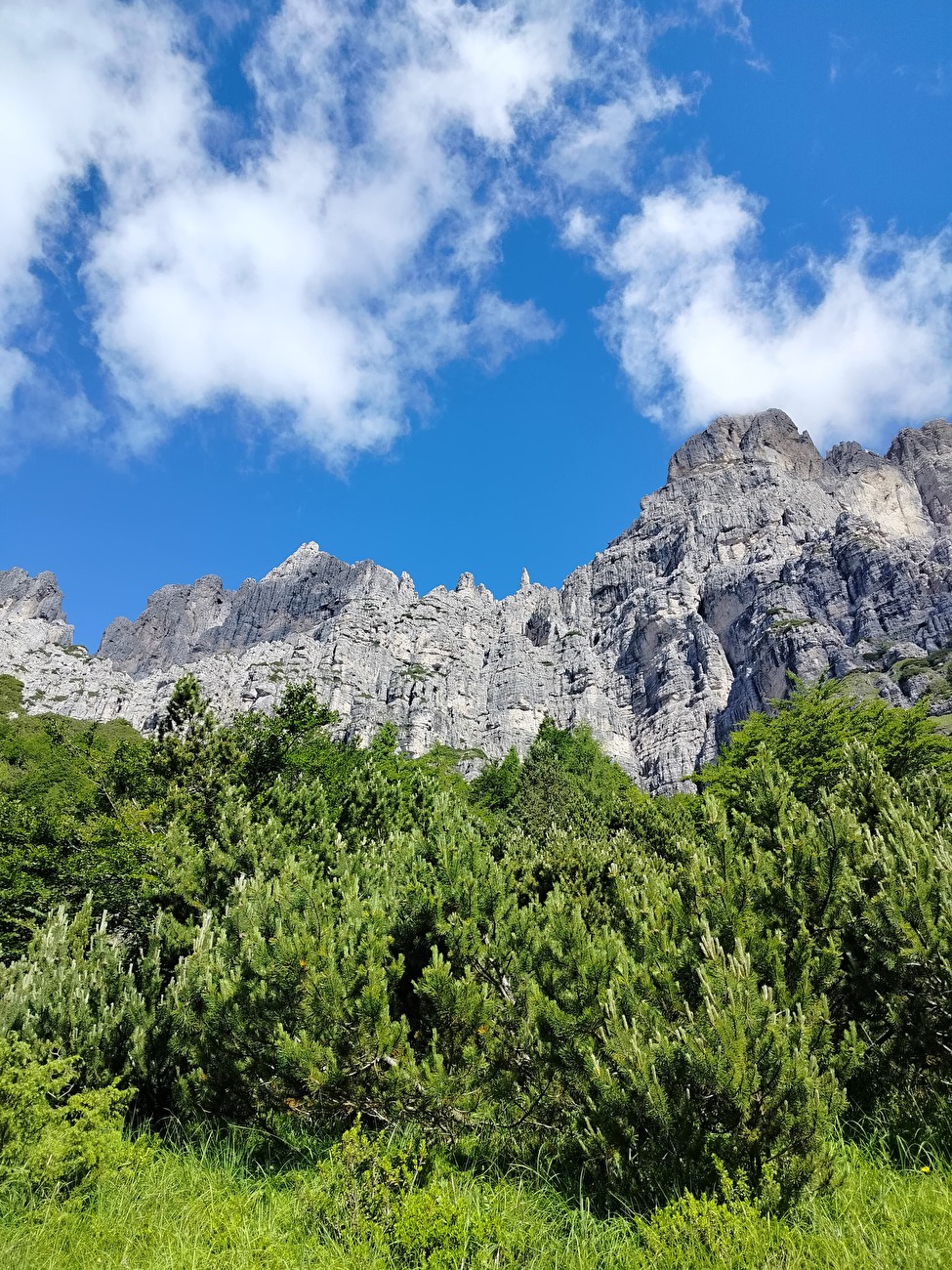 Schiara, Dolomiti Bellunesi