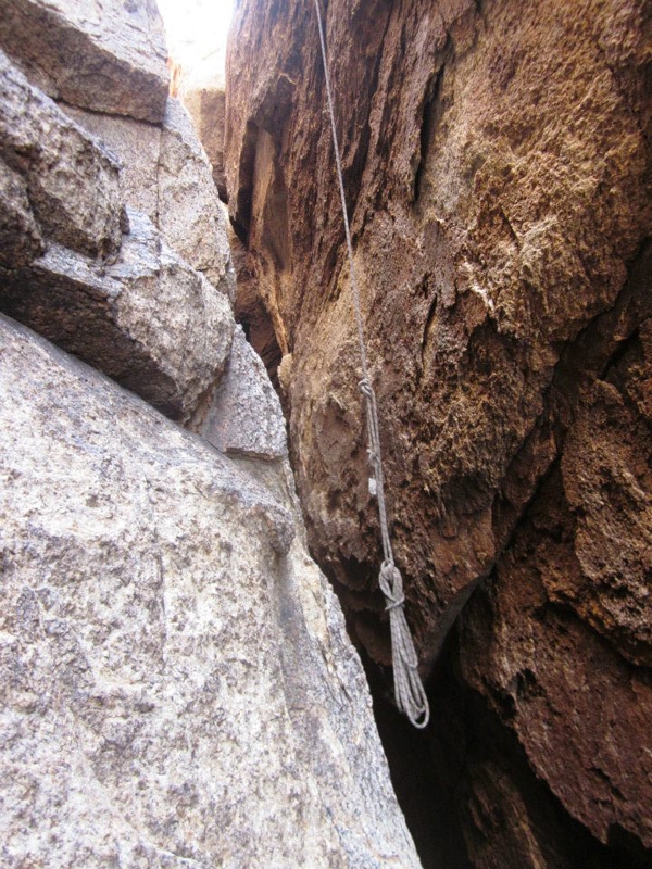 Joshua Tree