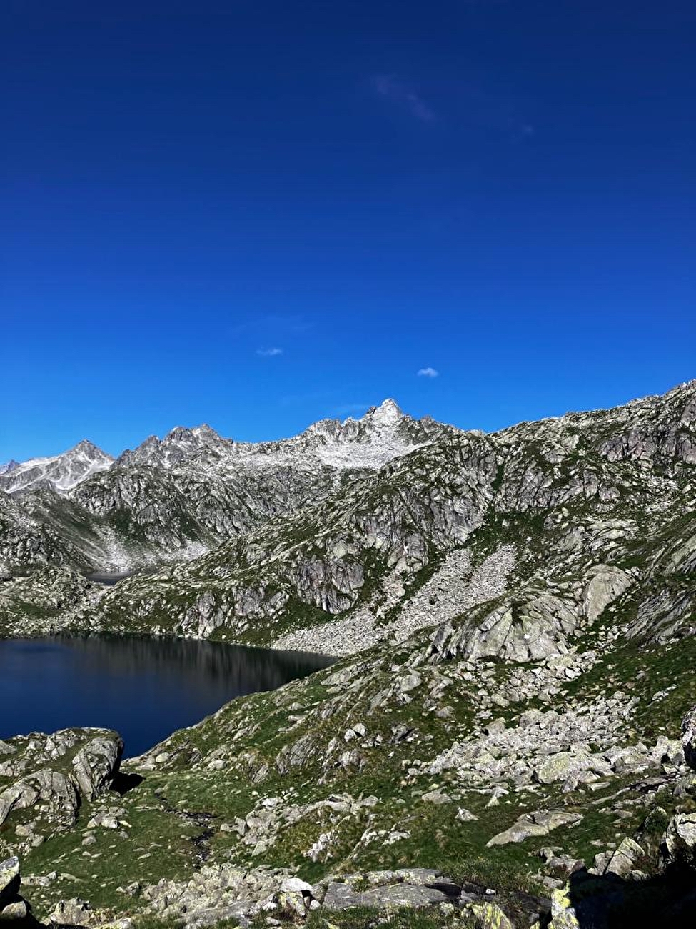 Lupi solitari, Rocca di Nambrone, Presanella