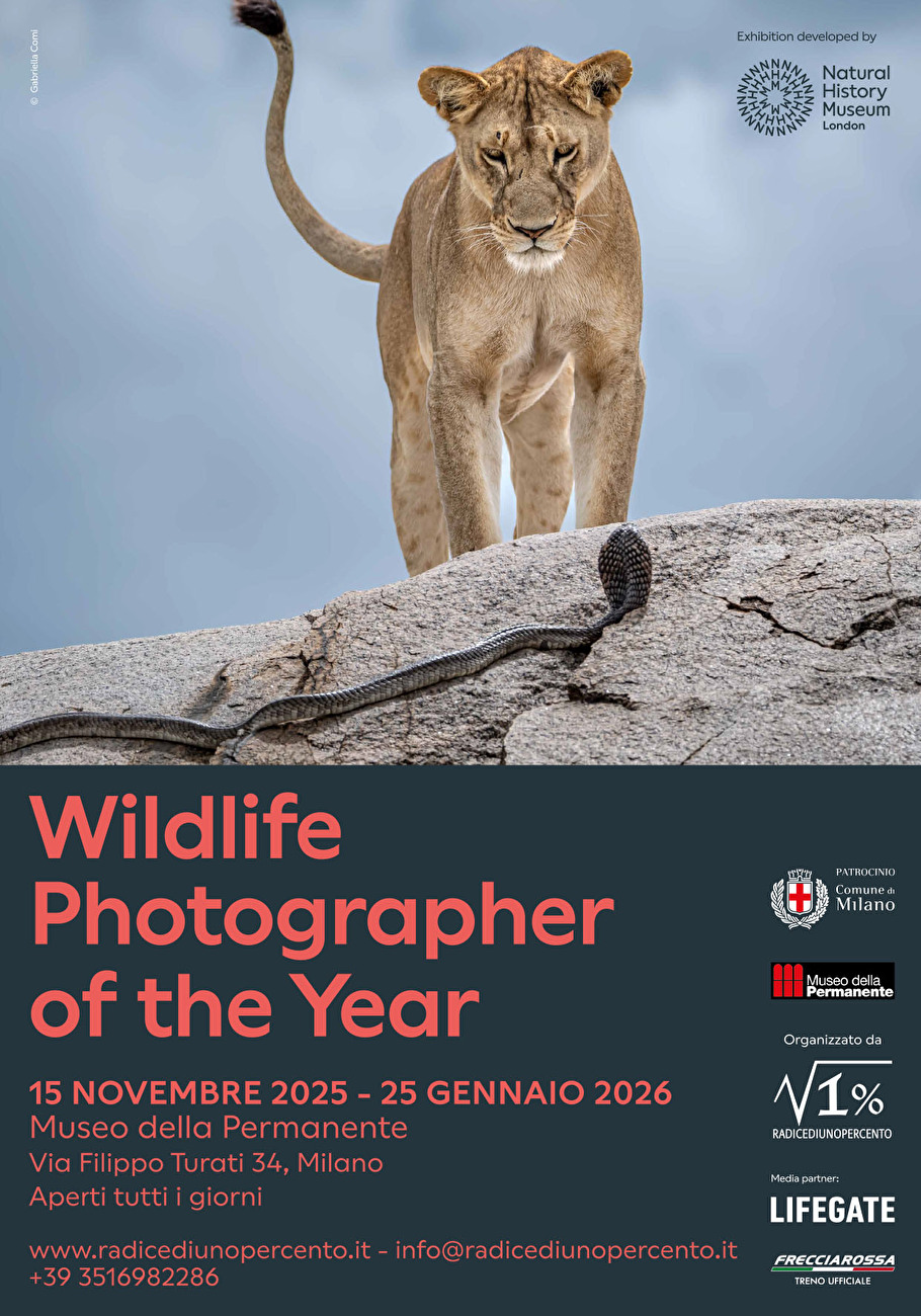 Wildlife Photographer of the Year 