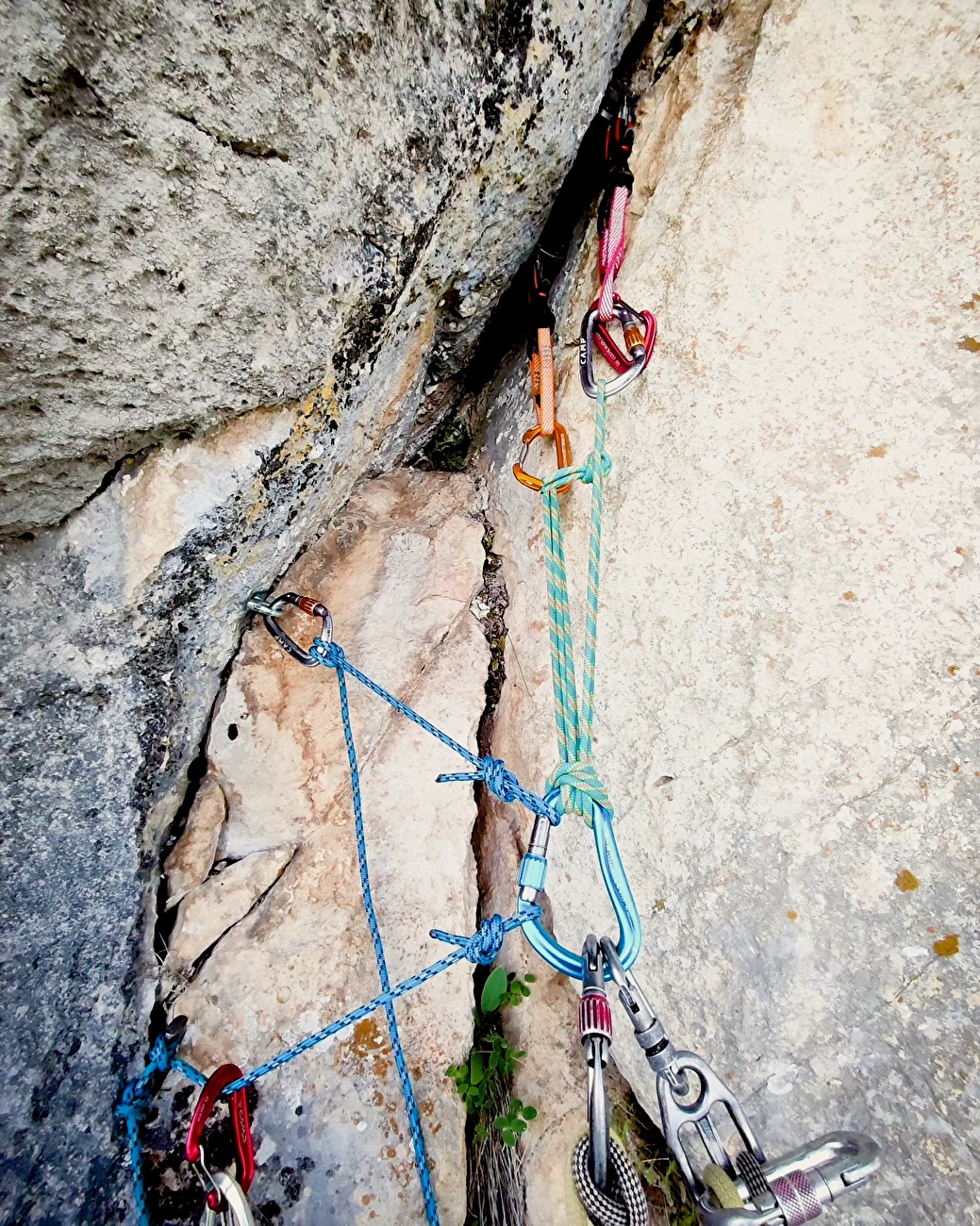 Monte Vallatrone, Appennino Campano, Appennino meridionale, Andrea Freschi, Luca Manni, Roberto Napolitano