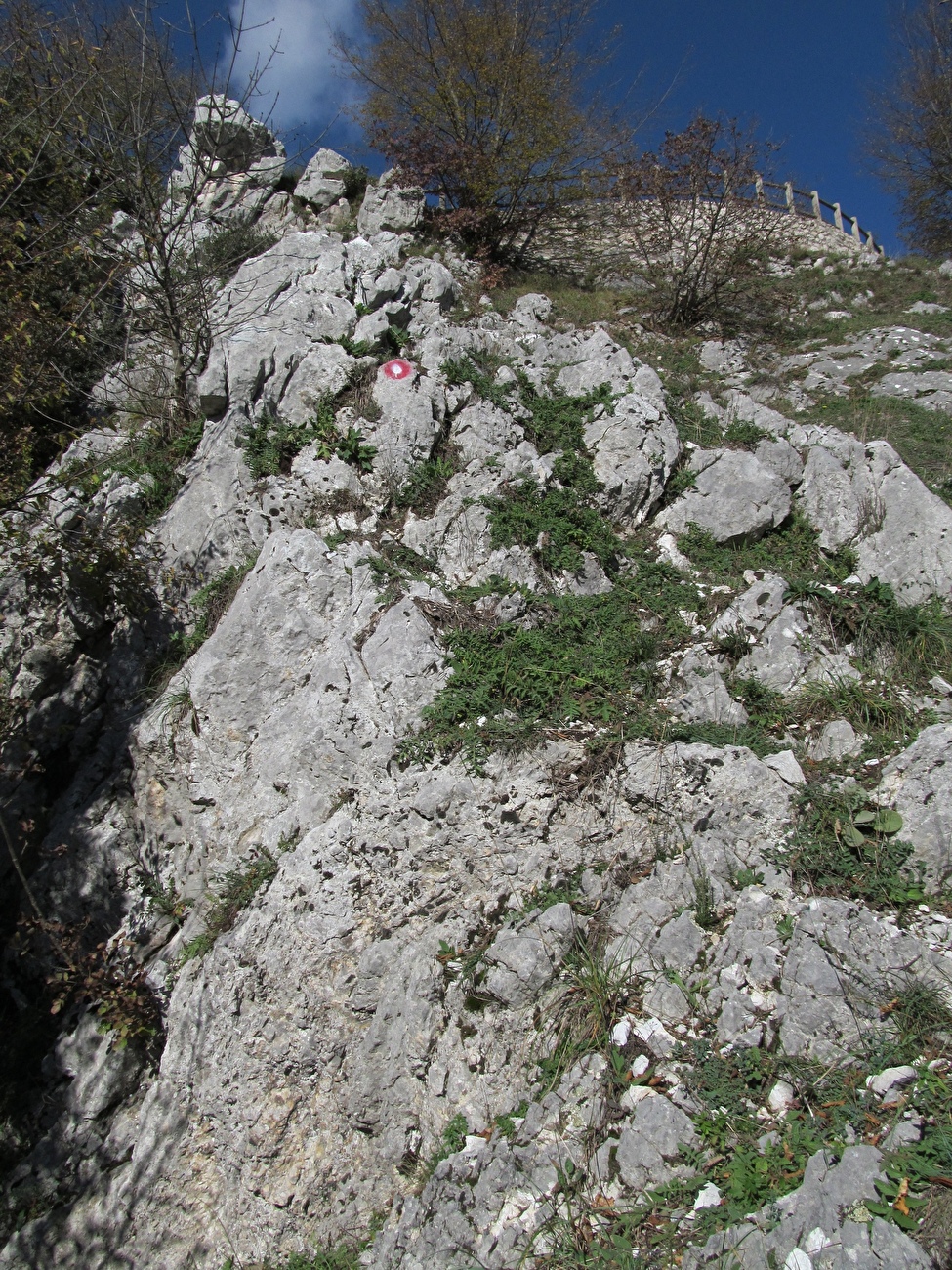 Monte Vallatrone, Appennino Campano, Appennino meridionale, Anna Rosa Damiano, Roberto Napolitano