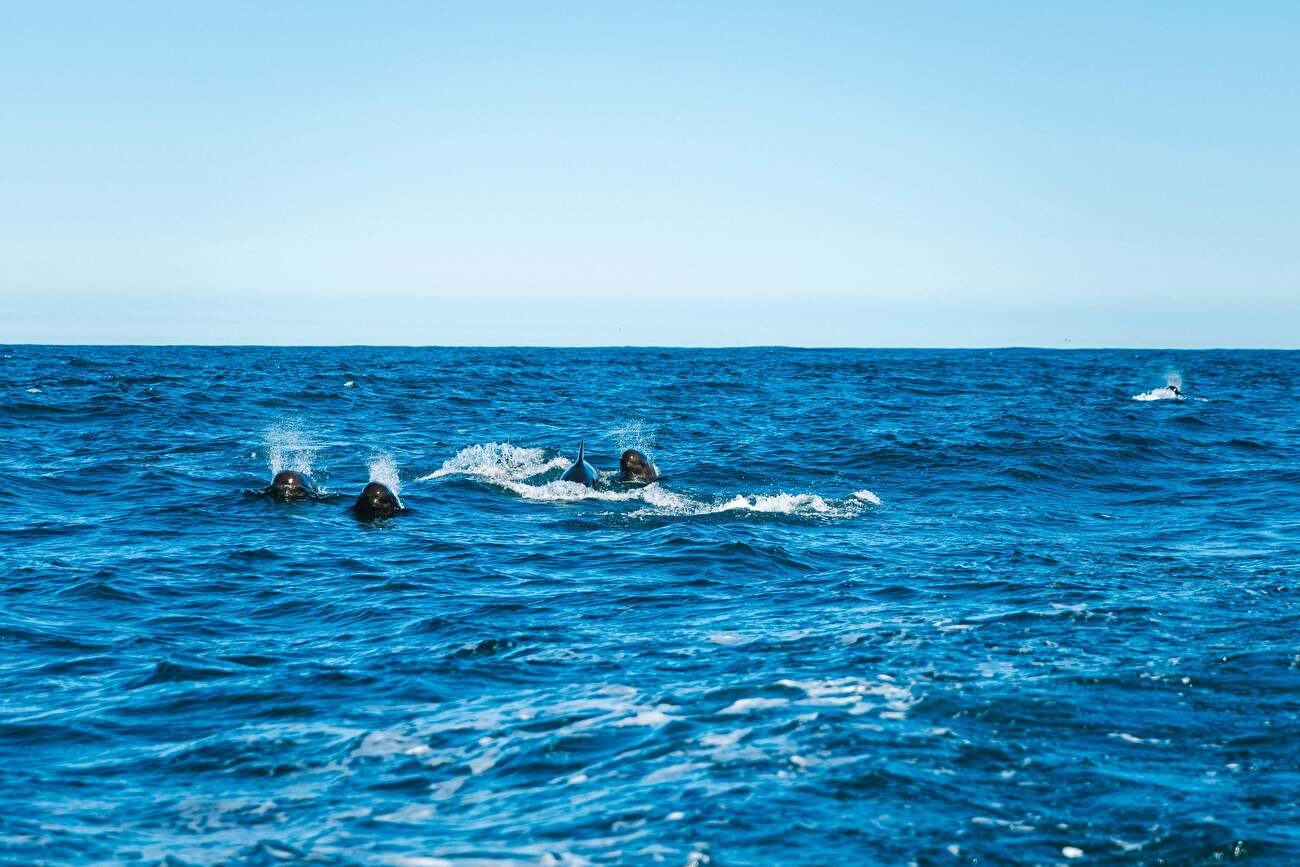 Greenland, Graah Fjord, Skjoldungen, Naomie Bürki, Pauline Laubscher, Gianna Müller, Caro North, Lea Schneider, Melanie Tenorio, Ramona Volken, Ramona Waldner