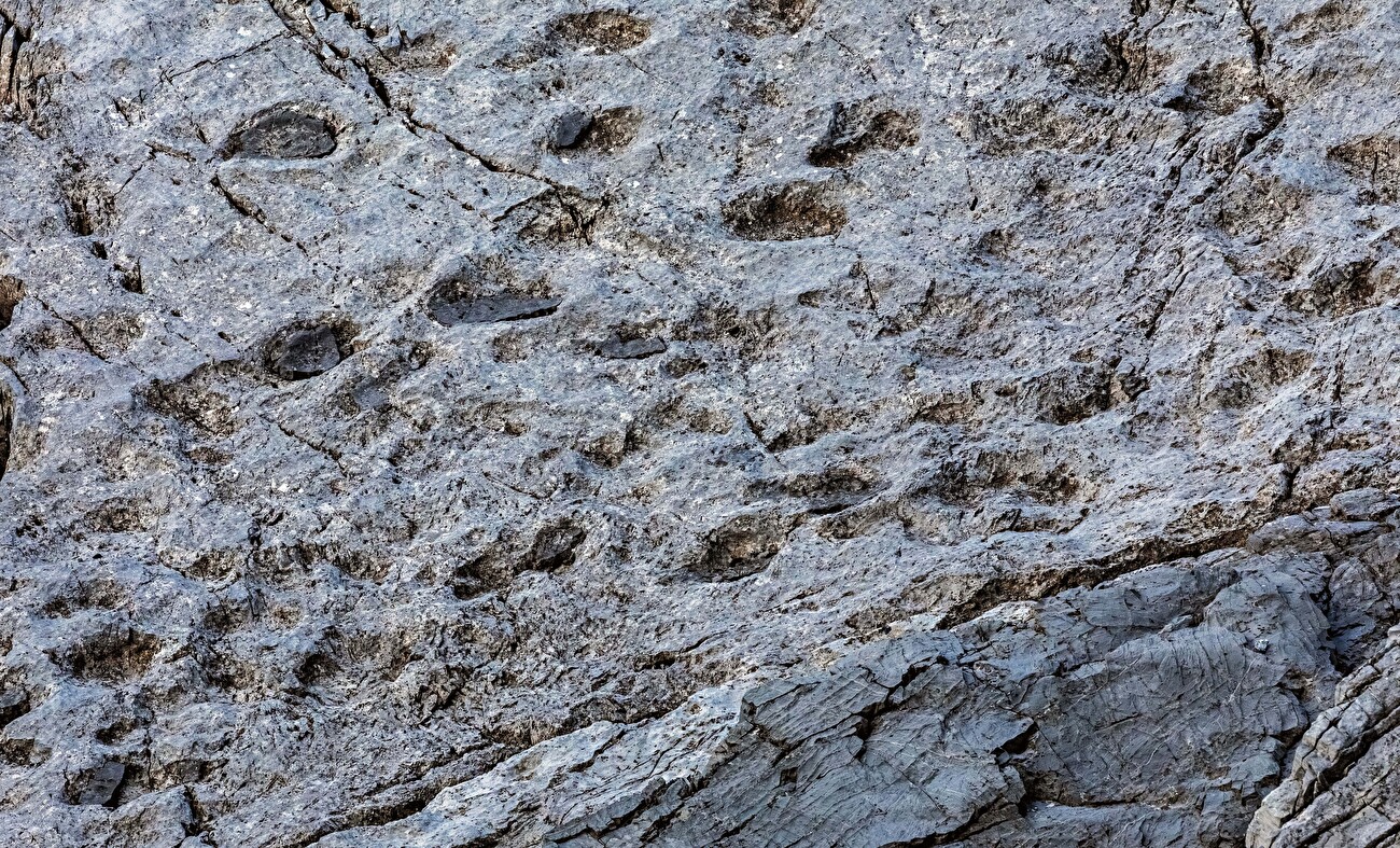 Orme di dinosauri Parco Nazionale dello Stelvio, Valle di Fraele