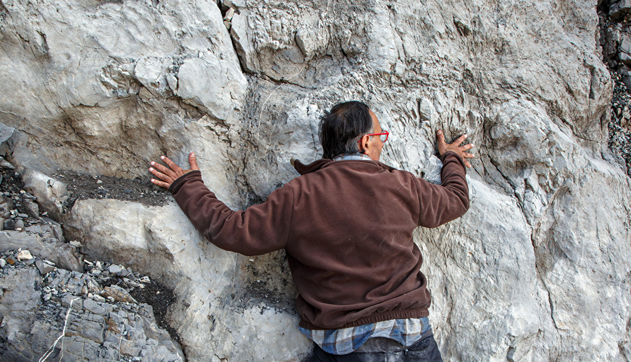Orme di dinosauri Parco Nazionale dello Stelvio, Valle di Fraele