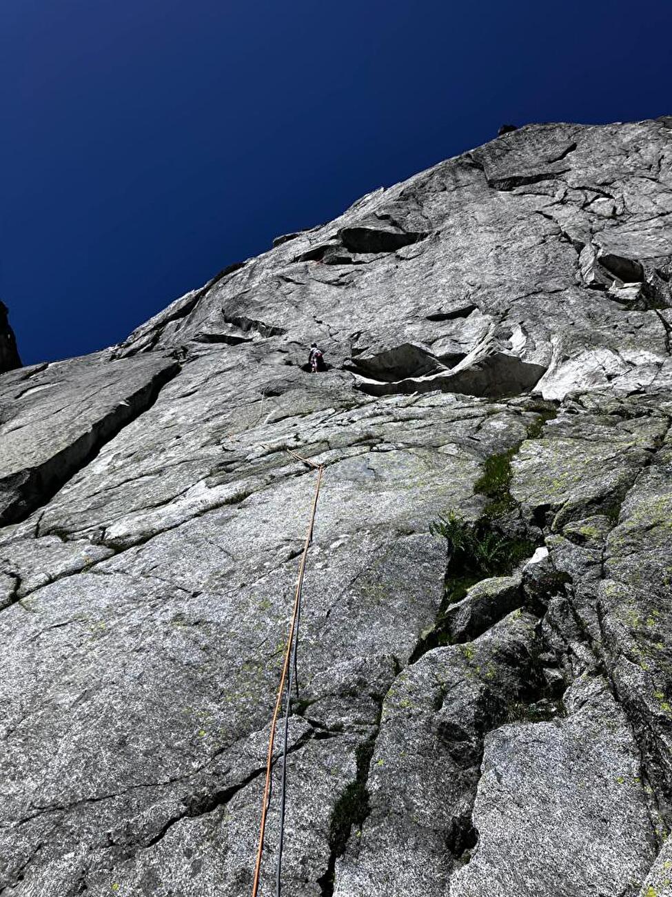 Lupi solitari, Rocca di Nambrone, Presanella