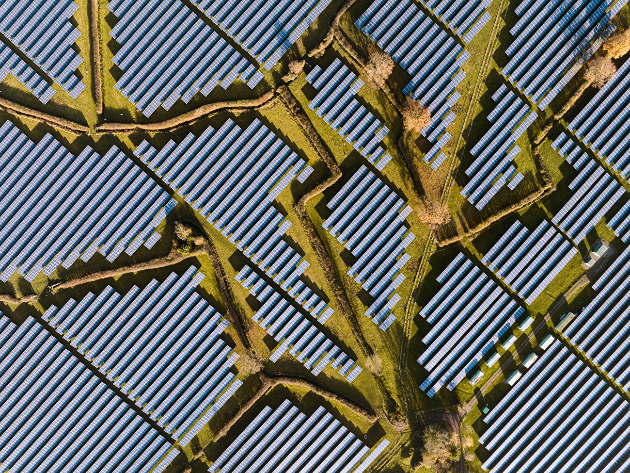 Wildlife Photographer of the Year Nuveen People's Choice Award 2026