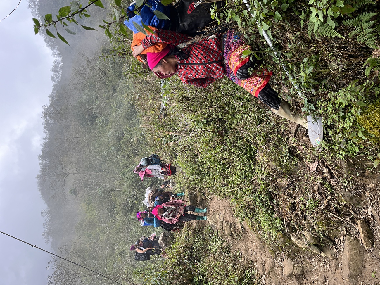 Cu Nhu San, Vietnam Luciano Brucoli, Phan Tuan Vinh, Nguyen Phan Nhat Thanh