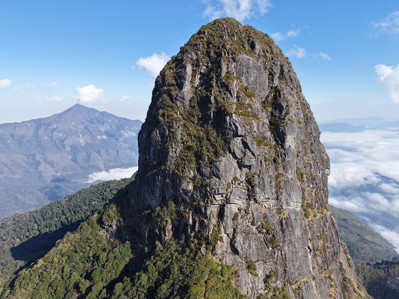 Cu Nhu San, Vietnam Luciano Brucoli, Phan Tuan Vinh, Nguyen Phan Nhat Thanh
