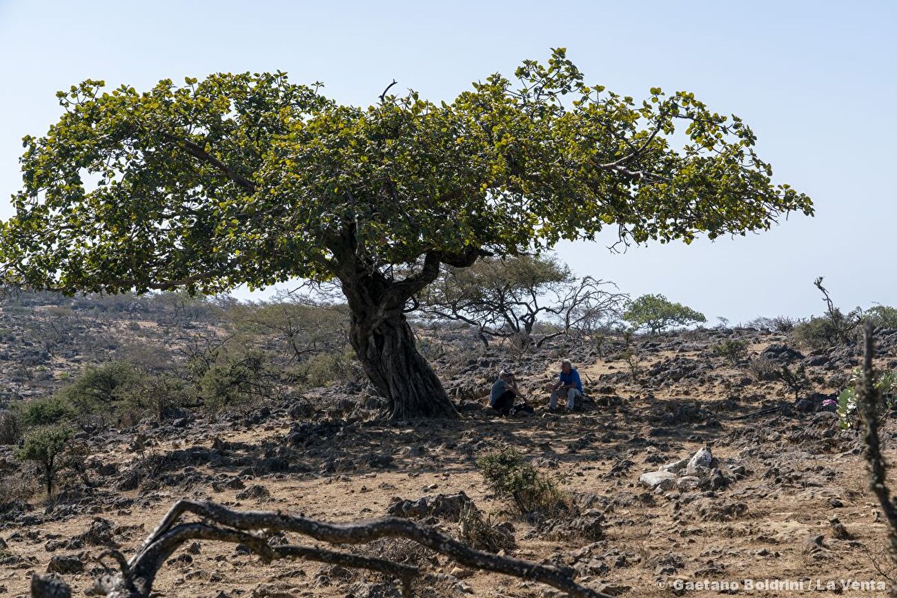 Qanaf Cave, Oman, La Venta