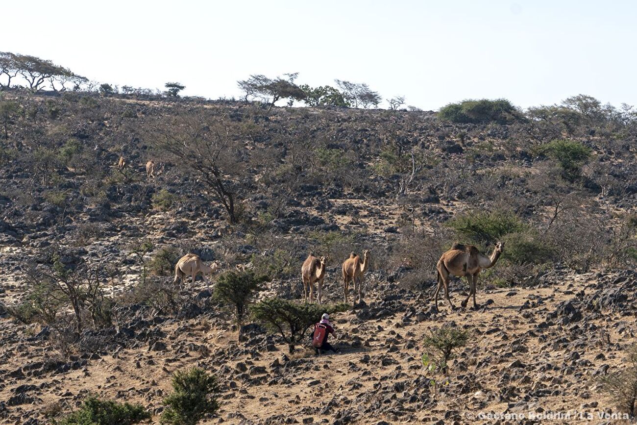 Qanaf Cave, Oman, La Venta
