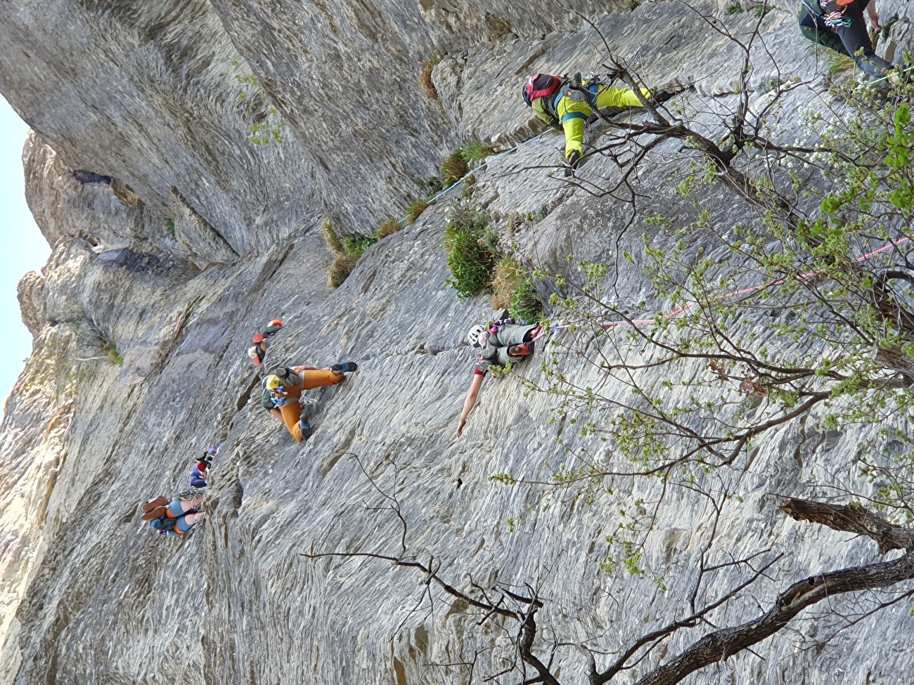 Bismantova Climbing Meet 2026, Pietra di Bismatova