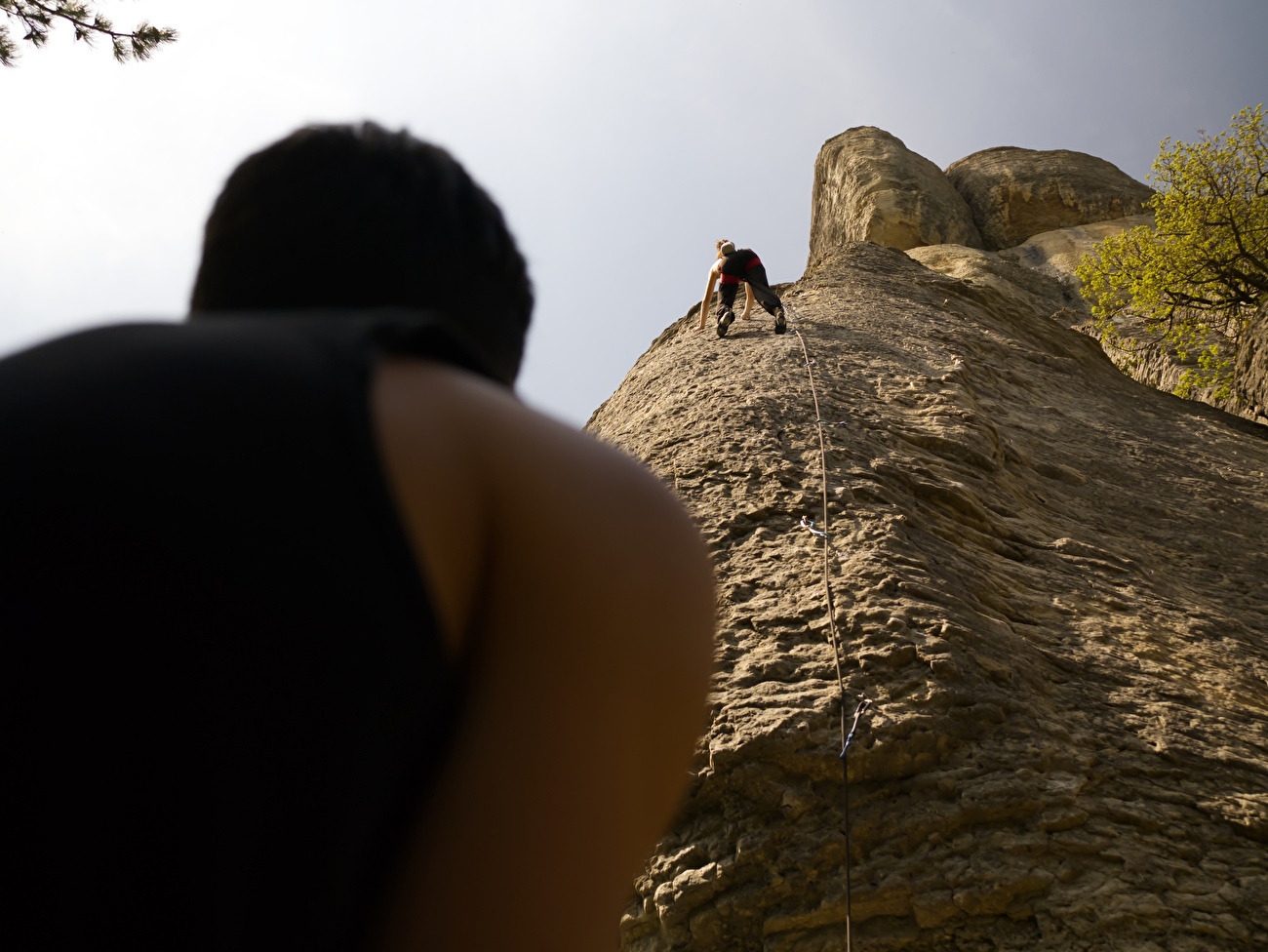 Bismantova Climbing Meet 2026, Pietra di Bismatova