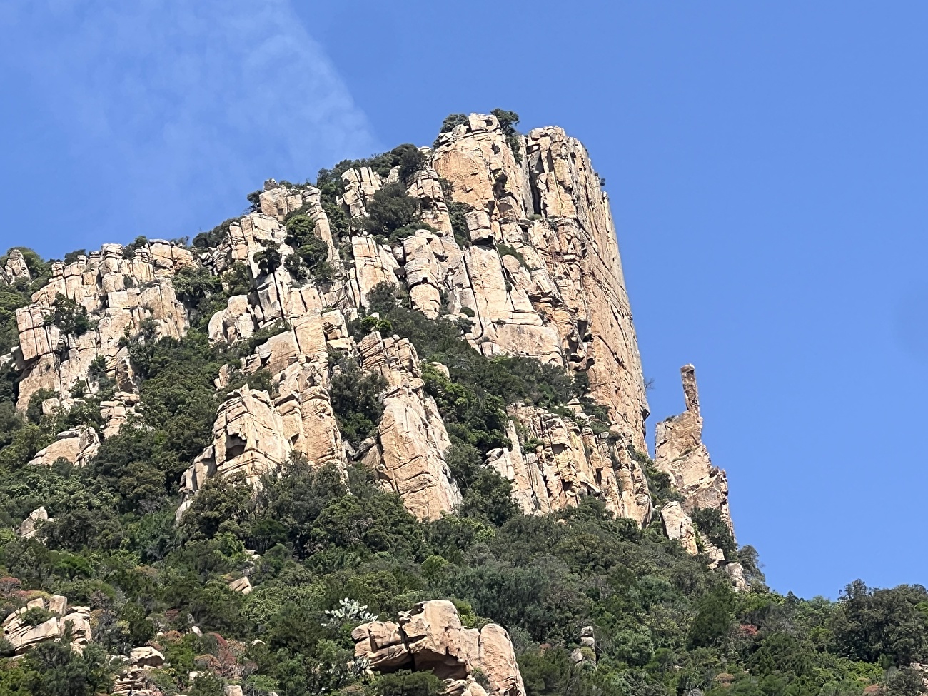 Dillosauro, Jurassic Park, Sardinia