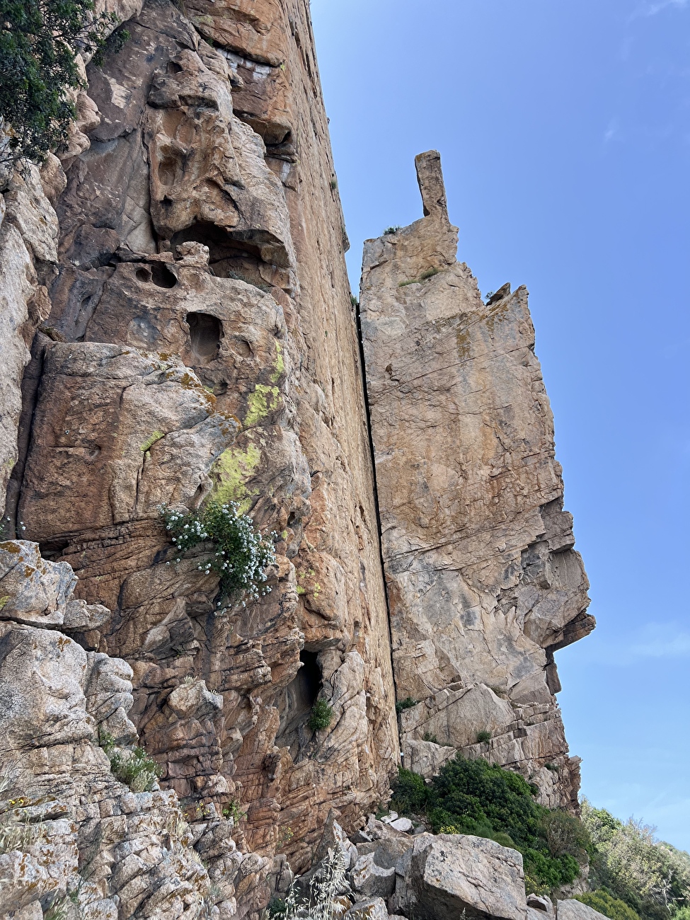 Dillosauro, Jurassic Park, Sardinia