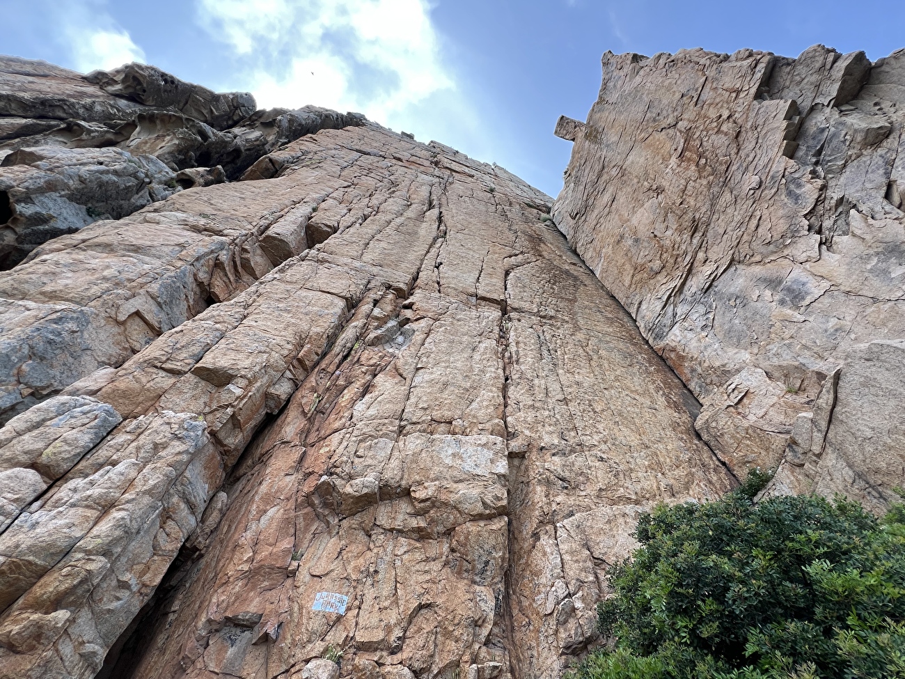 Dillosauro, Jurassic Park, Sardinia