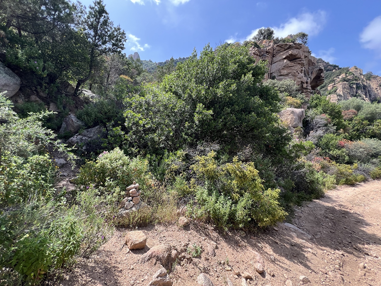 Dillosauro, Jurassic Park, Sardinia