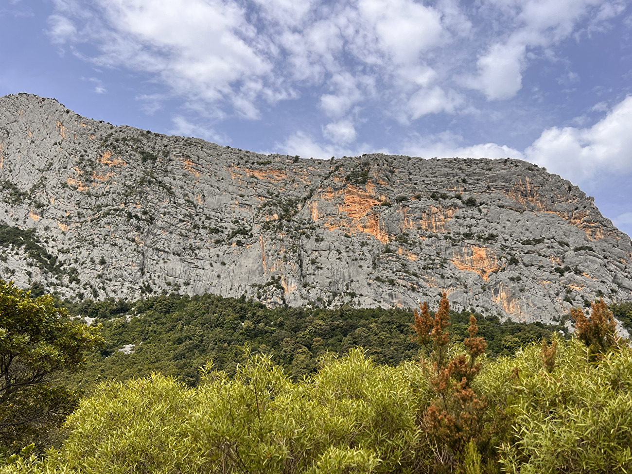 Monte Oddeu, Sardinia