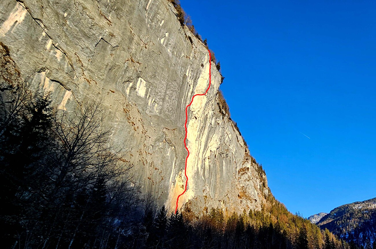 Alex Huber Feuersalamander Gösslerwand