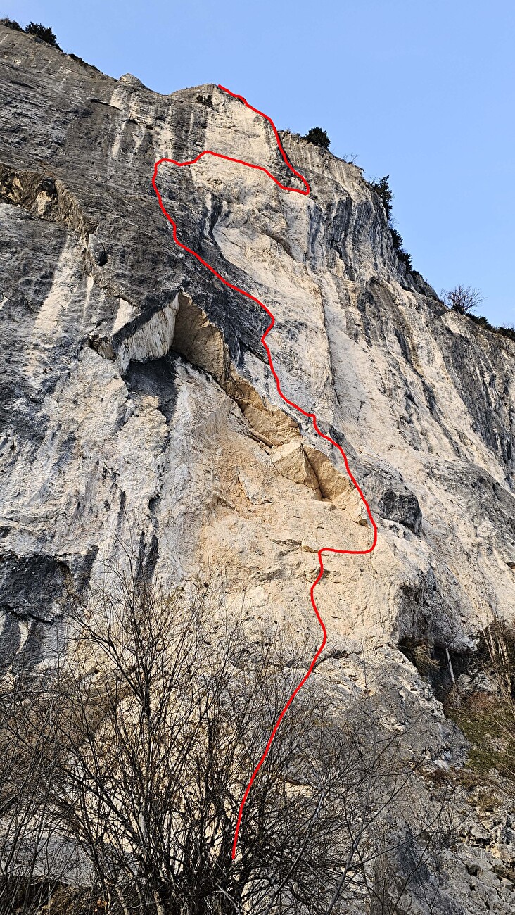 Alex Huber Feuersalamander Gösslerwand