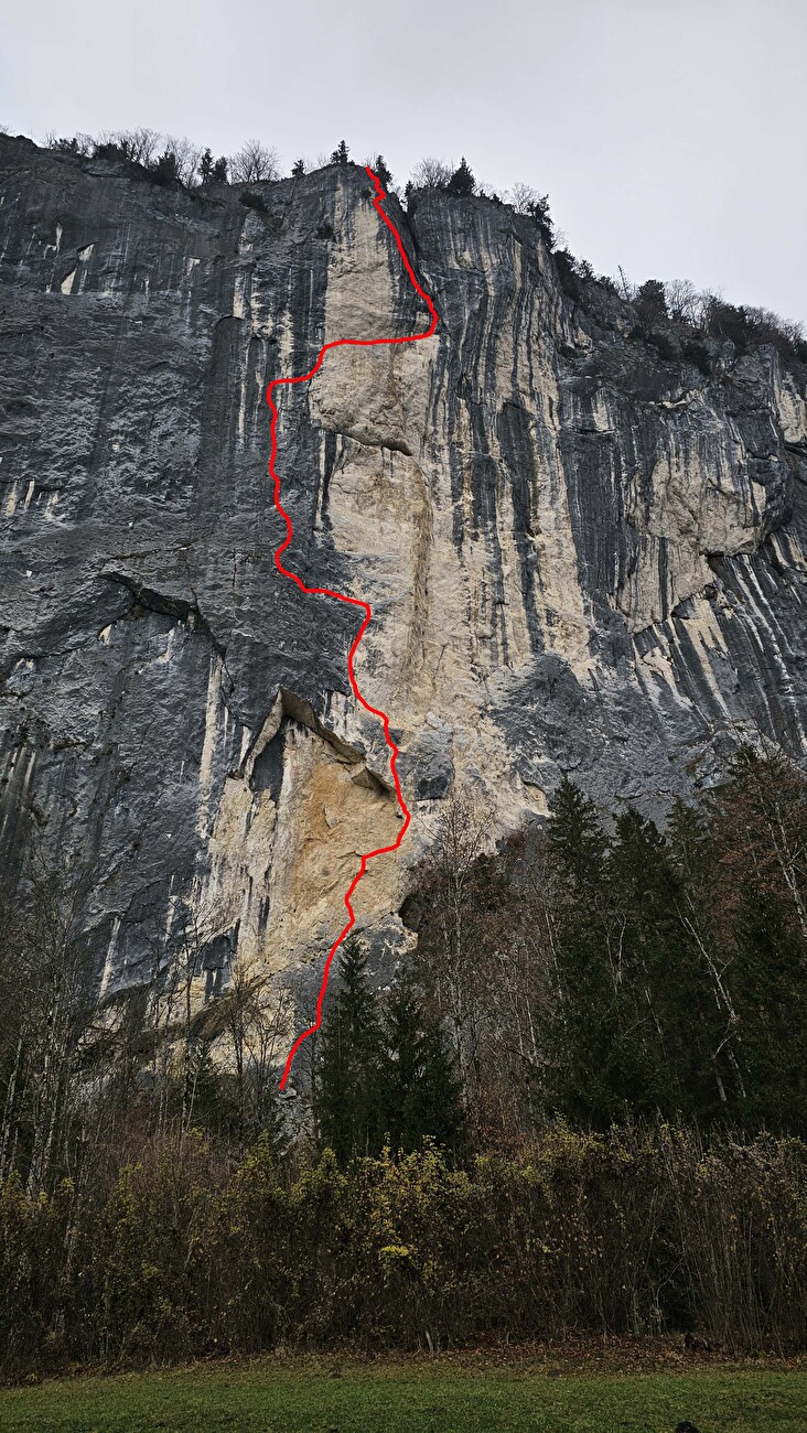 Alex Huber Feuersalamander Gösslerwand