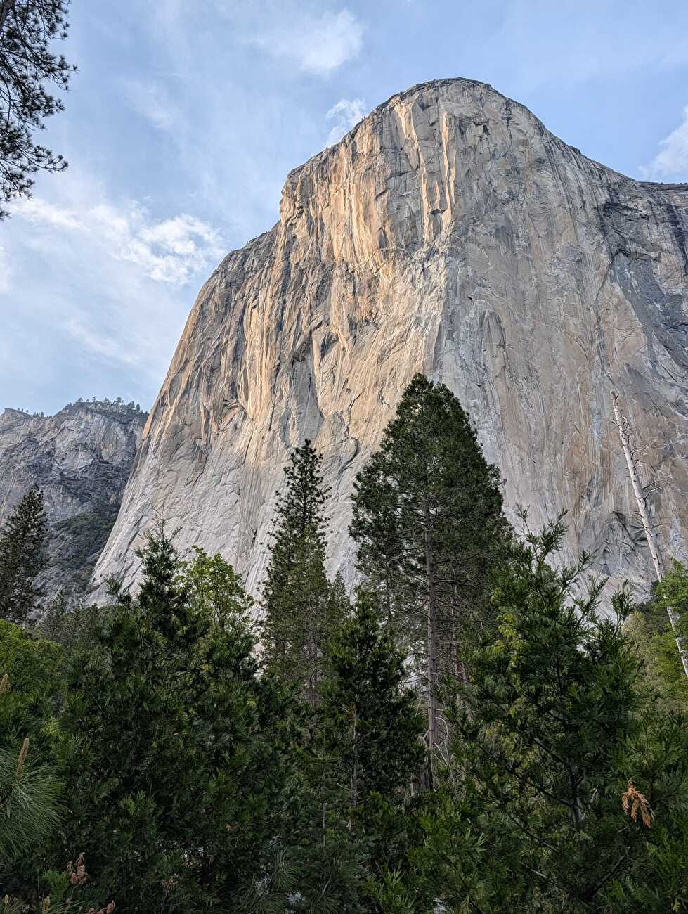 Free Rider El Capitan Yosemite, Andrea Cobretti, Alessandra Prato
