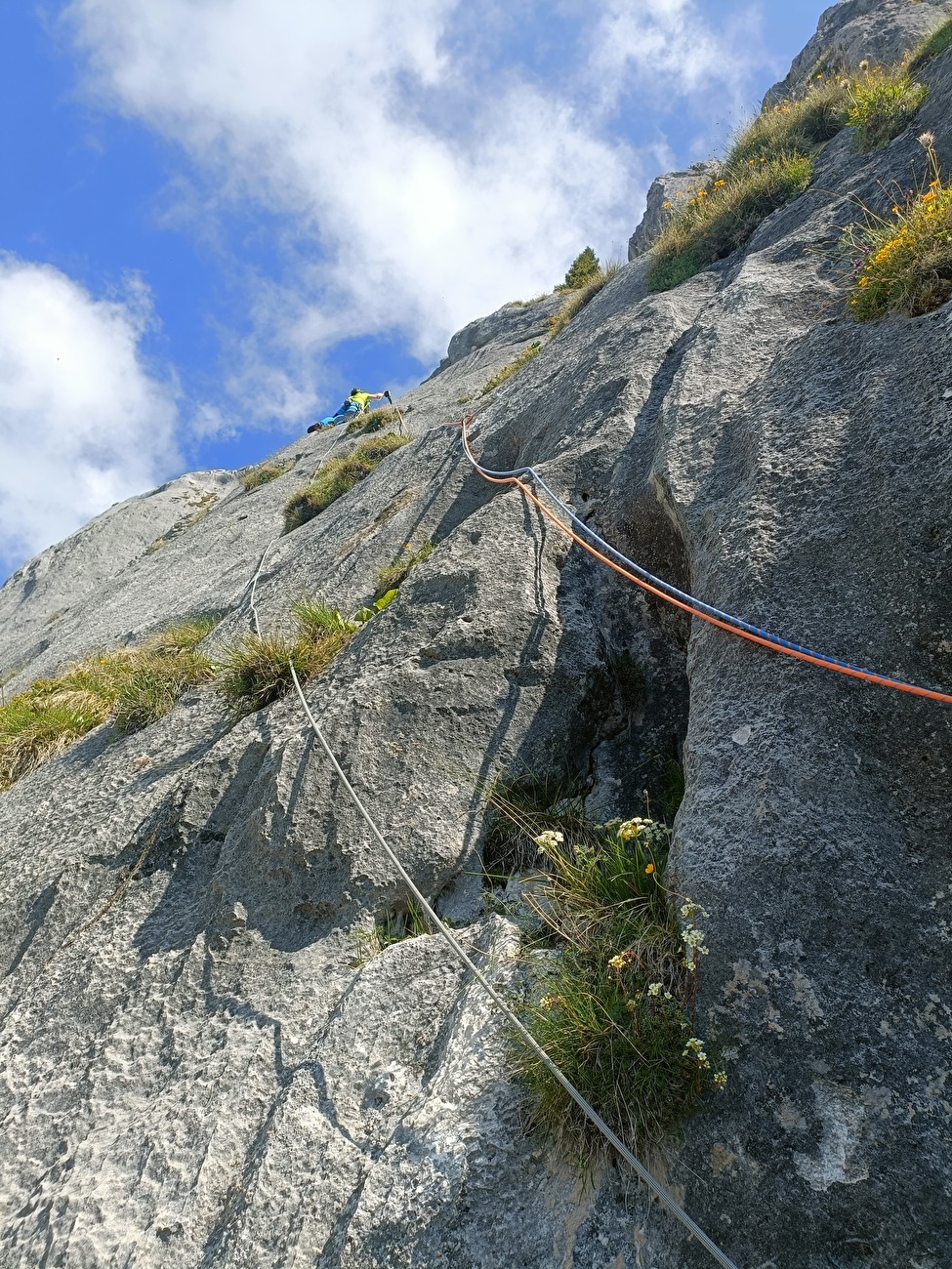 E la vita scorre! Cima Uomo, Dolomiti di Brenta, Luca Giupponi, Rolando Larcher