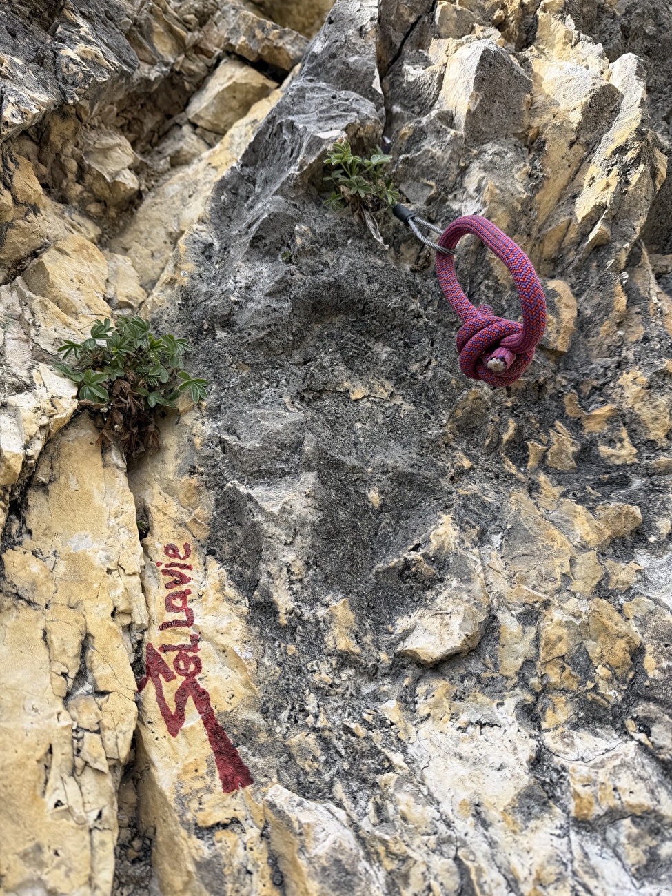 Sellavie Piz Ciavazes, Dolomites, Hubert Eisendle, Simon Kehrer