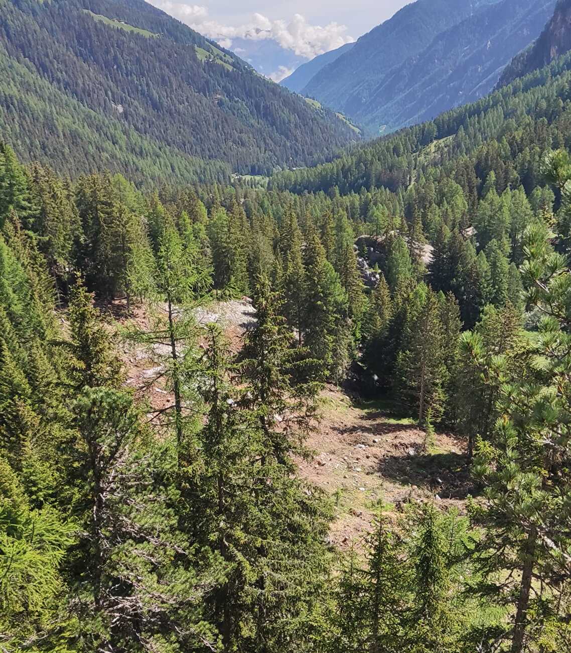 Martell Valley Stelvio National Park 