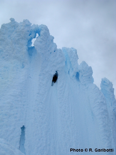 Traversata Standhardt, Herron, Egger e Cerro Torre