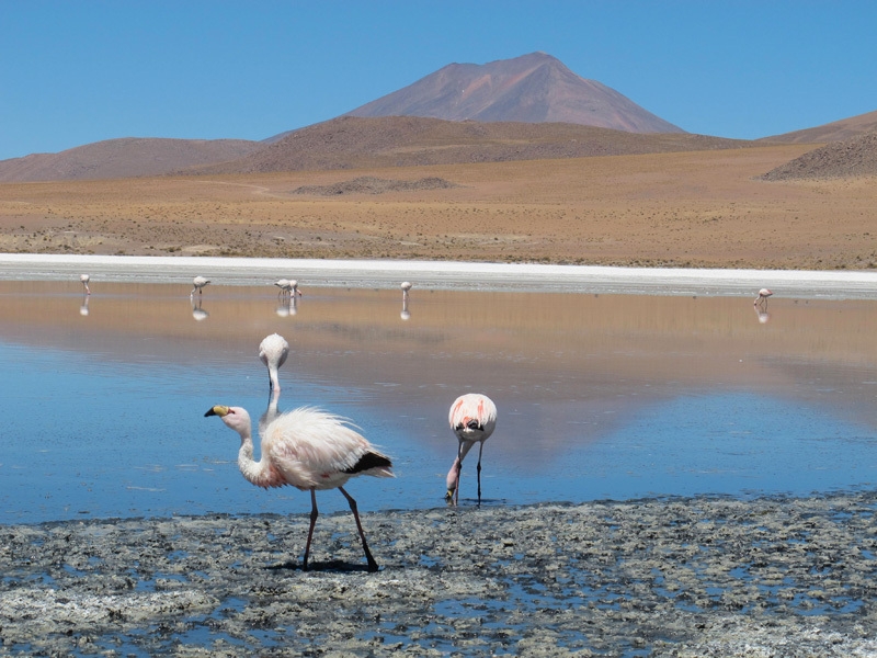Bolivia