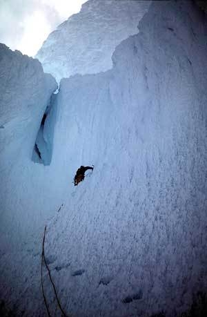 Cerro Torre 1974, Ragni di Lecco