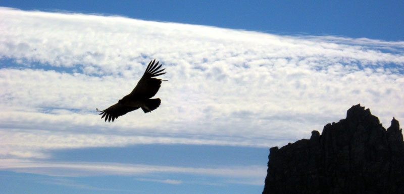 Patagonia, una vez más