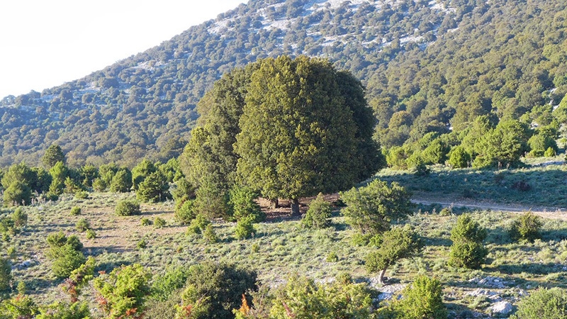 Los Compadres, Gole di Gorroppu, Sardinia