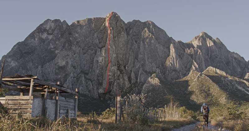 Alex Honnold