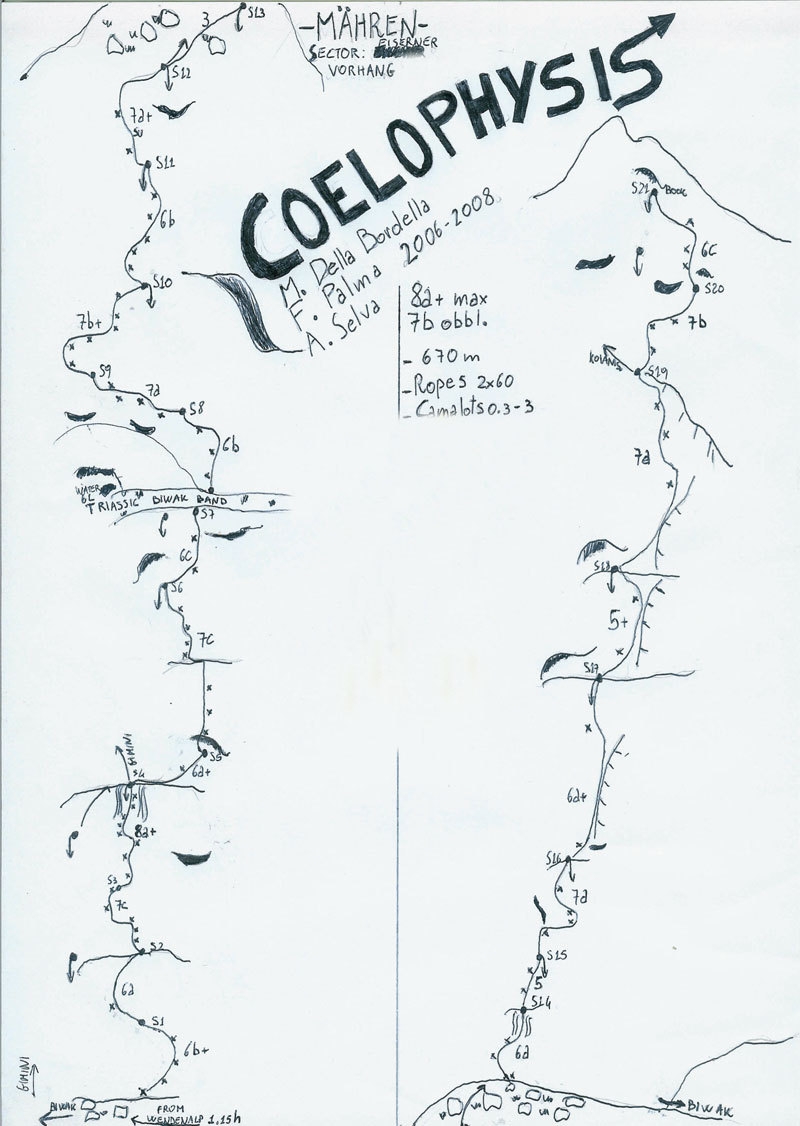 Coelophysis – Wenden