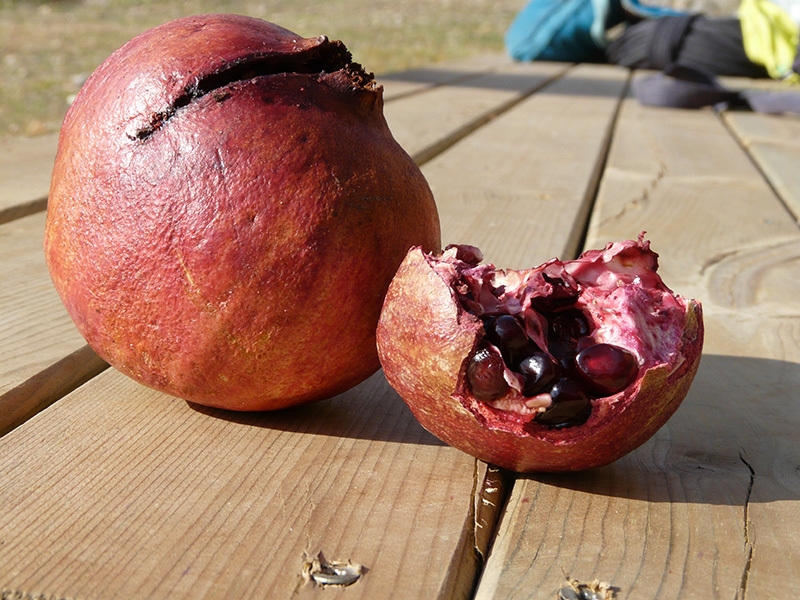 Geyikbayiri