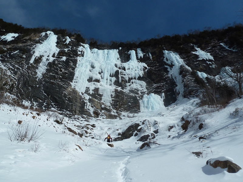 Gipsy Ice Tour 2014