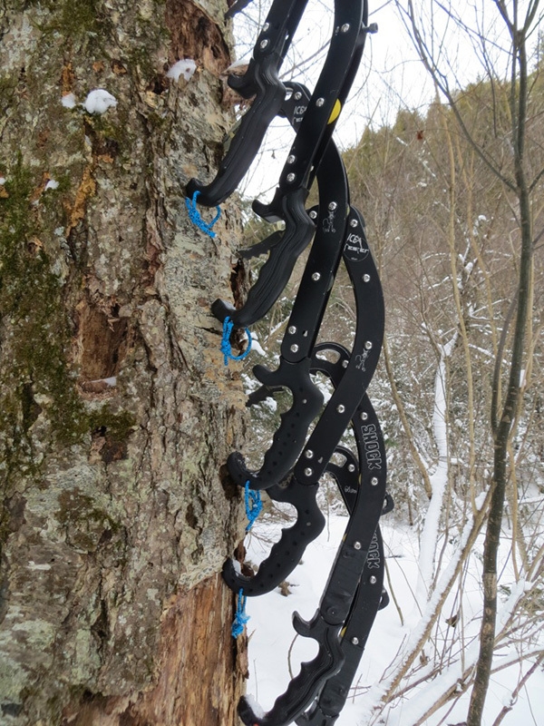 Gipsy Ice Tour 2014
