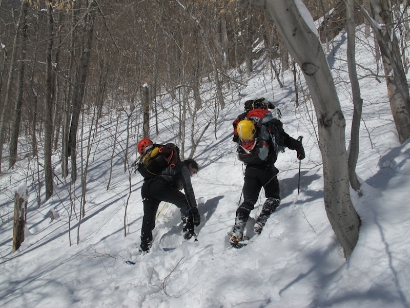 Gipsy Ice Tour 2014
