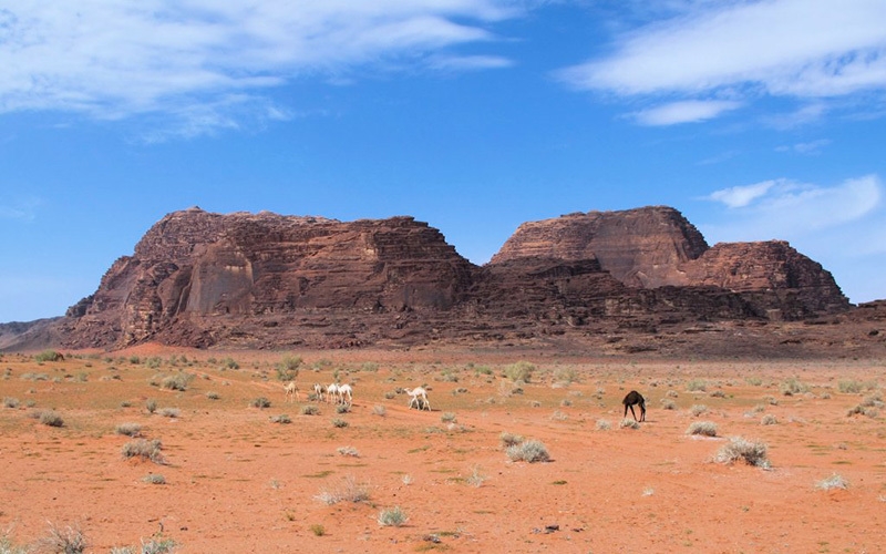 Wadi Rum, Jordania