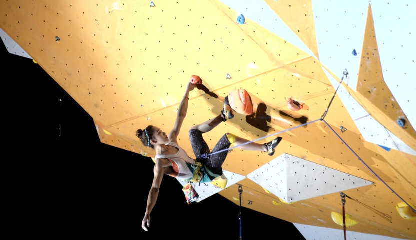 Lead World Cup 2014